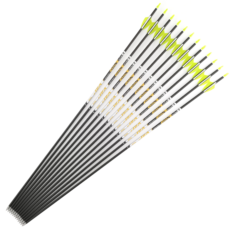 Archery Spine 350 400 450 500  – обзор и цена Hunting Bow Compound
