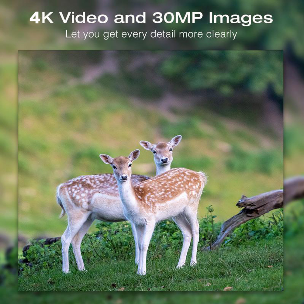 Solar Panel Hunting Camera 4K  – обзор и цена Outdoor Hunting Images